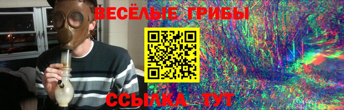 Псилоцибиновые грибы мухоморы Сызрань